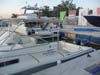 boat_2009 064